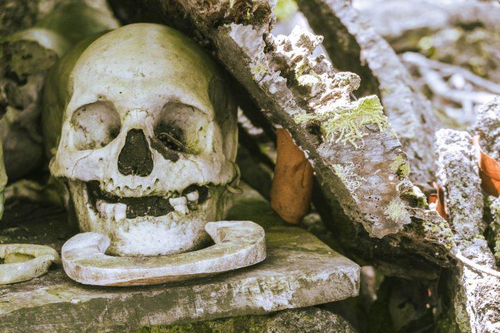 Skull Island Solomon Islands
