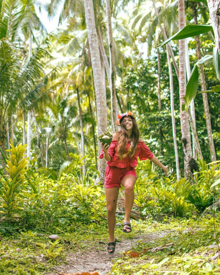 Rendova Island Tituru Eco Lodge Solomon Islands palm trees in jungle