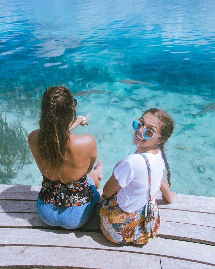 Solomon Islands reef sharks best beaches in the world