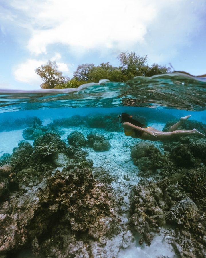 Go Pro dome Kennedy Island snorkelling Solomon Islands