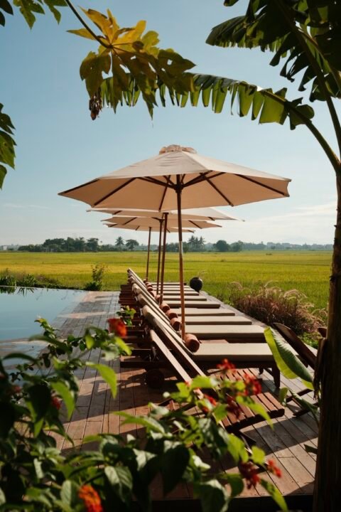 Reu Boutique Hotel Hoi An Pool overlooking Rice Field unique stay in Vietnam