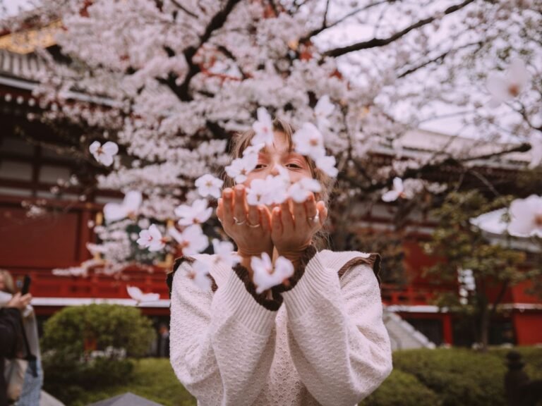 Is Japan Cherry Blossom Season Worth It? (2026 Survival Guide)