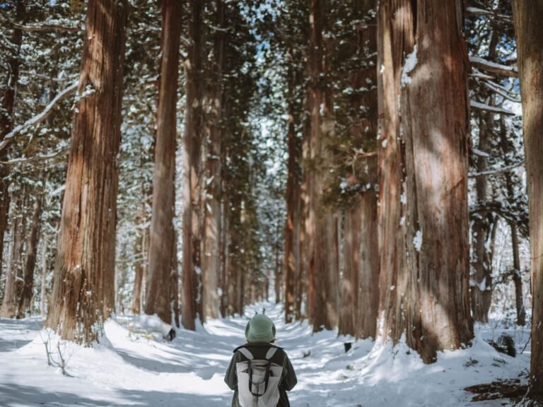 Unique 2 Week Japan Itinerary: Beyond the Golden Route (2026)
