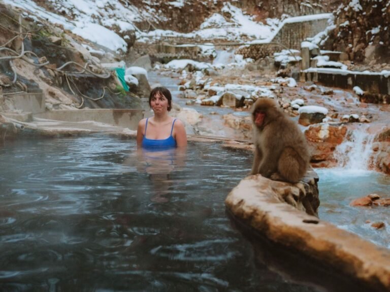 How to Onsen with Monkeys in Nagano: Korakukan Snow Monkey Ryokan